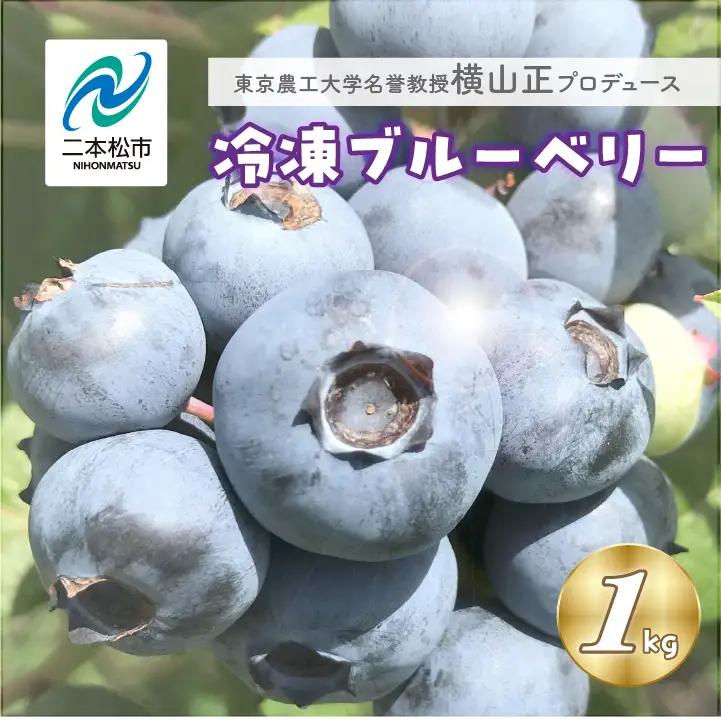《2026年7月以降順次発送》ブルーベリー冷凍果実1kg（品種おまかせ） ブルーベリー フルーツ【東和ブルーベリー研究農園】