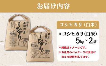 米 令和5年産 長谷川農園の コシヒカリ（白米） 計10kg （5kg × 2袋）[m22-a002]