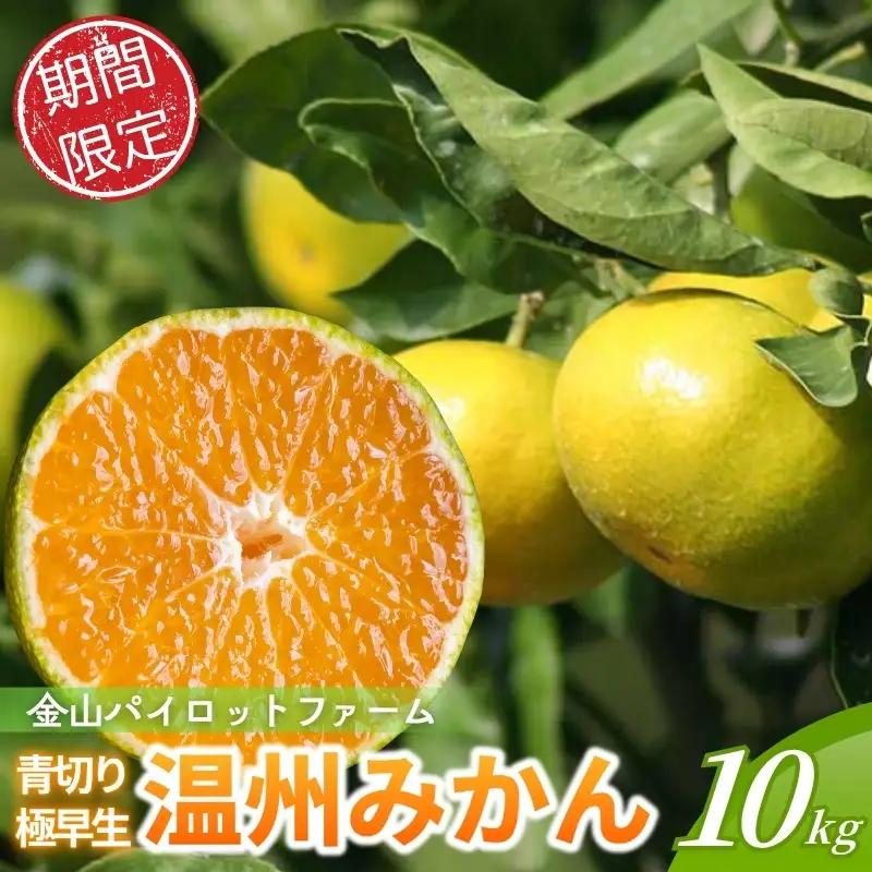 みかん 極早生温州みかん 10㎏【knpr0013A】