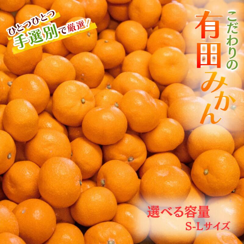 【ふるさと納税】 有田みかん 先行予約 こだわりの和歌山県産有田みかん 【選べる容量】 【3kg 5kg】（S～Lサイズ） ひとつひとつ手選別で厳選！生産者から直送 【2025年11月下旬～2026年1月中旬頃に順次発送分】/ みかん フルーツ 果物 くだもの 蜜柑 柑橘