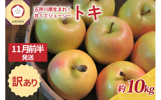 【2025年11月前半発送】訳あり トキ 約10kg