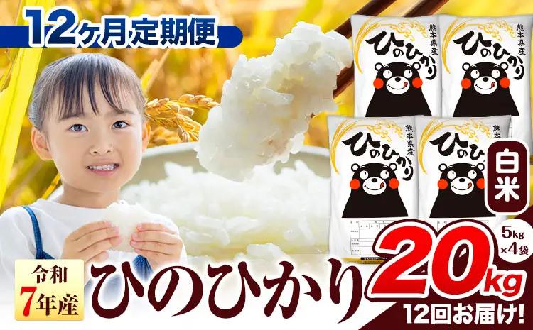 【12ヶ月定期便】R7年産 白米  ひのひかり 20kg