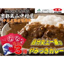 【ふるさと納税】【京都嵐山中村屋】自分史上一番のやみつきカレー3個セット【エーコープ京都中央】 | 京都 嵐山 中村屋 総本店 レトルトカレー ビーフカレー レトルトパウチ カレー 牛肉 人気 おすすめ おいしい 老舗 グルメ お取り寄せ