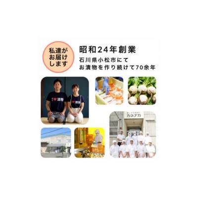 ふるさと納税 小松市 国産ピリ辛らっきょう 10袋セット らっきょう漬け 漬物 |  | 02