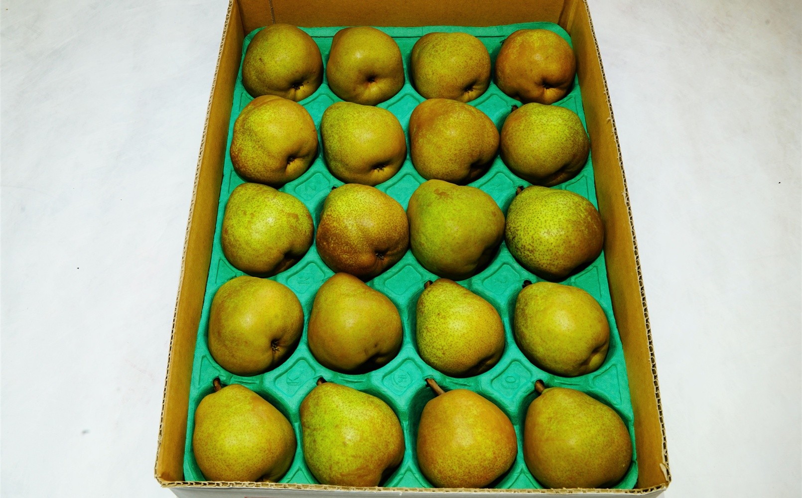 
                  ラ・フランス　４.６ｋｇ　２０玉　Ｍ・Ｌサイズ混合　ご家庭用　0012-2613
                