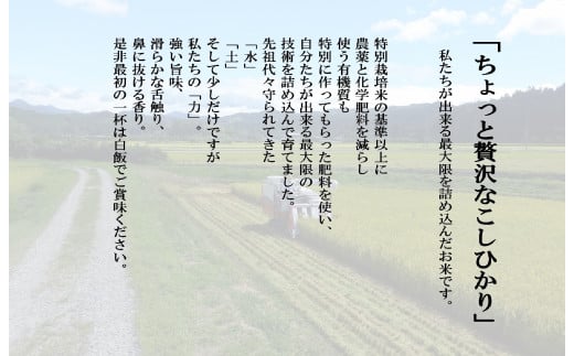 【新米受付・令和7年産米】NA4170 【新潟県岩船産】特別栽培米・ちょっと贅沢なこしひかり4kg＆古代米50ｇセット