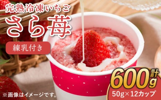 
                  いちご 冷凍 合計600g （ 50g×12カップ） 練乳 完熟 冷凍 いちご 「さら苺」 50g×12カップ 合計600g 練乳付き 1本（120g） 園村苺園
                