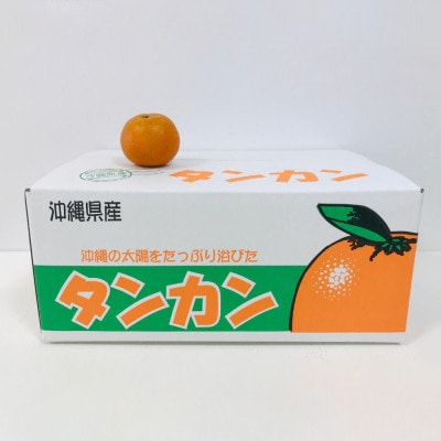 【2027年1月から順次発送】国頭村産 タンカン 10kg やんばるの人気柑橘 濃厚な甘みとコク