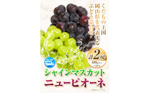【2025年先行予約】シャインマスカット ニューピオーネ 詰合せ 《2025年9月上旬-10月中旬頃出荷》【配送不可地域あり】---124_c389_9j10c_23_20000_100---|ぶどう