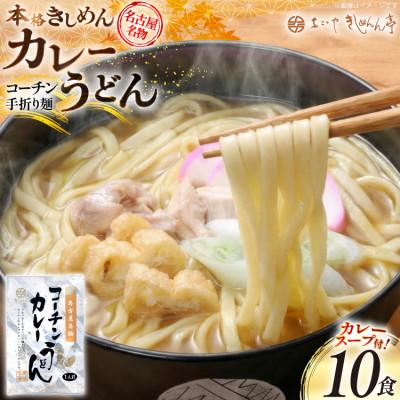 ふるさと納税 江南市 コーチン手折りカレーうどん(10食)