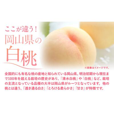 ふるさと納税 笠岡市 フルーツ 厳選 晴れの国定期便 シャインマスカット 1.5kg 白桃 2kg 米 20kg 無洗米 |  | 01