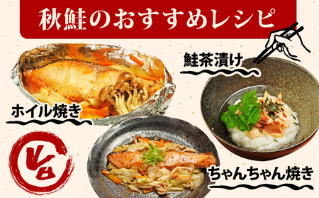 訳あり 国産 秋鮭 切り身 約2.5kg 冷凍 人気 さけ サケ 魚 海鮮 おかず シャケ おつまみ 弁当 塩 鮭 千葉 銚子 辻野 国産 北海道産 純国産訳あり 北海道訳あり 塩秋鮭訳あり 鮭訳あり