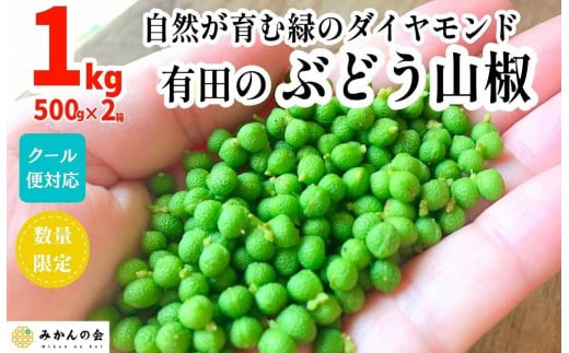 
                  ［5月下旬出荷予定］ぶどう山椒 １kg（500g×2箱） 実山椒 生山椒 クール便対応 和歌山県産
                