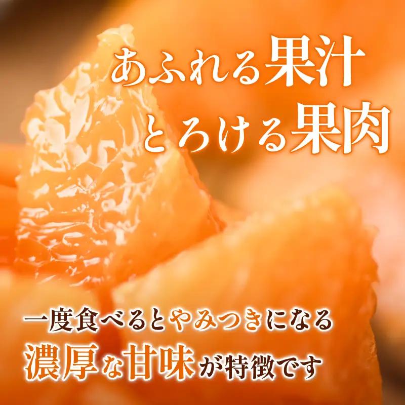 【先行予約】せとか（家庭用）レギュラー箱 約2.5kg