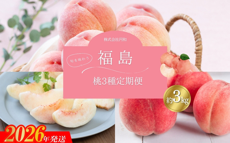 No.1622厳選！福島の桃 3種定期便 各約3kg【2026年発送　先行予約】