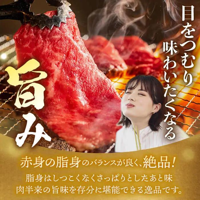 【12回定期便】長崎和牛 特選 焼肉 2種盛り ロース カルビ カタロース モモ（600g/回）[FG37] 肉 牛肉 焼き肉 赤身 バーベキュー BBQ 定期便 九州 九州産