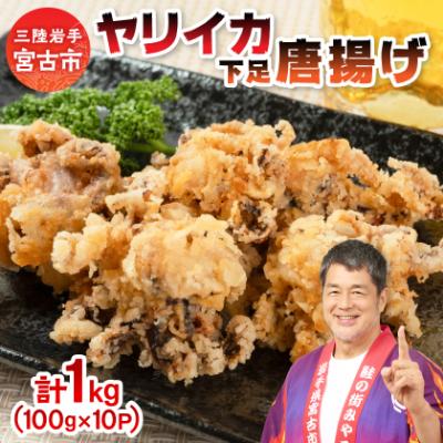 ふるさと納税 宮古市 ヤリイカ下足唐揚げ宮古産100g×10パック(1kg)