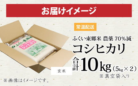 【玄米】令和5年産 ふくい東郷米 特別栽培米 農薬70％減 コシヒカリ 10kg 　5kg×２袋　[B-020027_02]