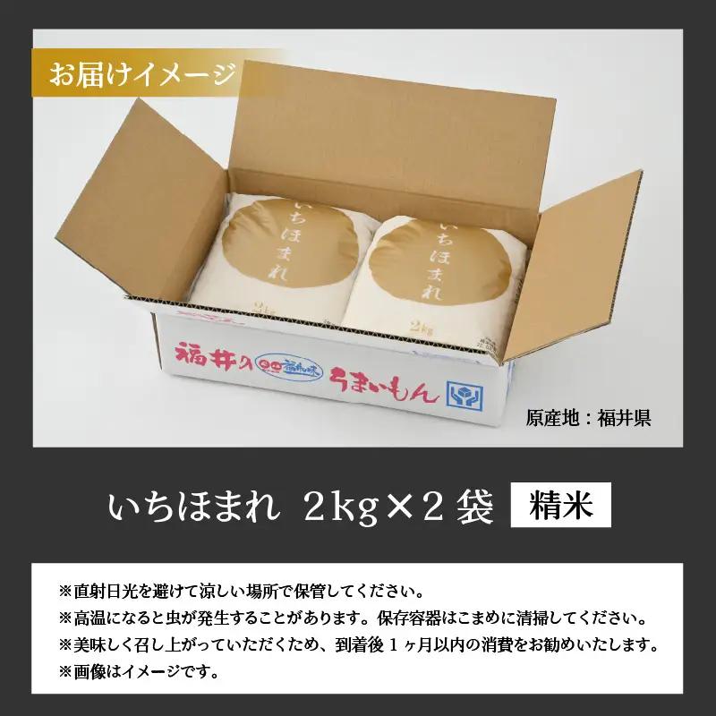 いちほまれ 4kg 精米 いちほまれ