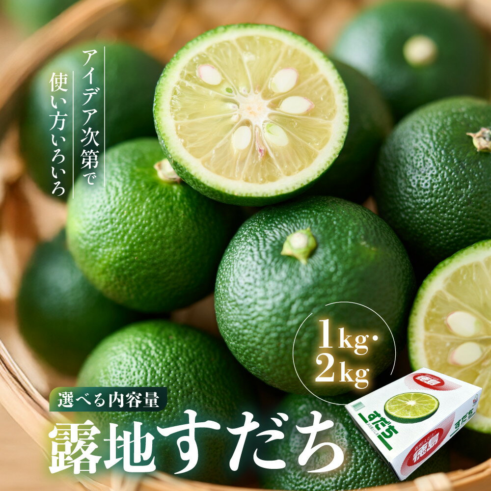 【ふるさと納税】先行予約 露地すだち （1箱 約1kg）（2箱 約2kg）選べる内容量 | フルーツ 果物 くだもの 食品 人気 おすすめ 送料無料