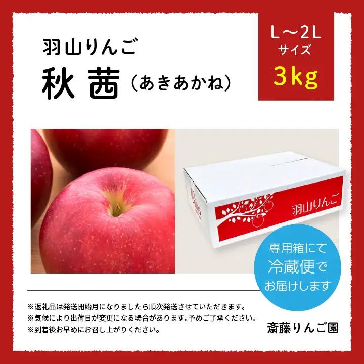 りんご《2026年10月下旬以降順次発送》羽山のりんご 秋茜L～2Lサイズ3kg りんご リンゴ 果物 フルーツ【斎藤りんご園】