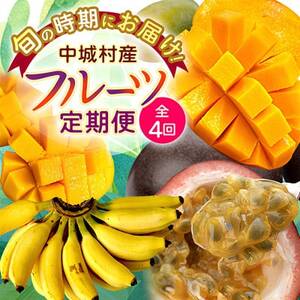 【発送月固定定期便】JAおきなわ厳選!季節の南国フルーツ全4回【配送不可地域：離島】【4079625】