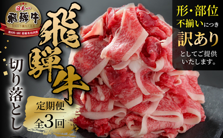 《定期便》 3回 訳あり 飛騨牛 切り落とし 500g 飛騨高山ミート 飛騨牛 [MZ110]
