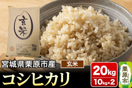 【令和7年産・玄米】宮城県栗原市産 コシヒカリ 20kg (10kg×2袋)
