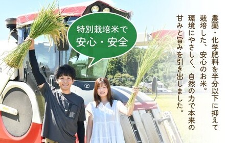 令和7年産新米 特別栽培米 コシヒカリ 5kg | コシヒカリ 茨城県 龍ケ崎市