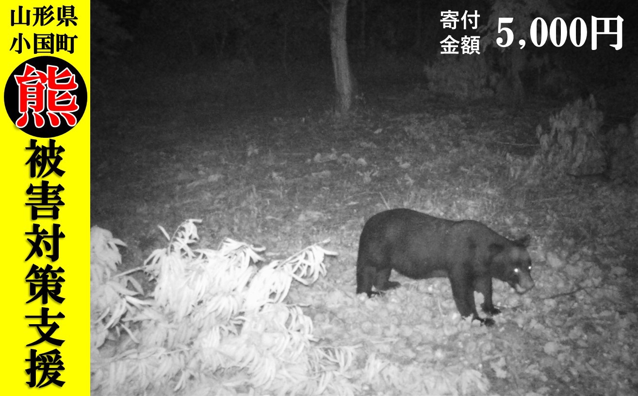 
                  【返礼品なし】熊被害対策支援（山形県小国町）5,000円
                