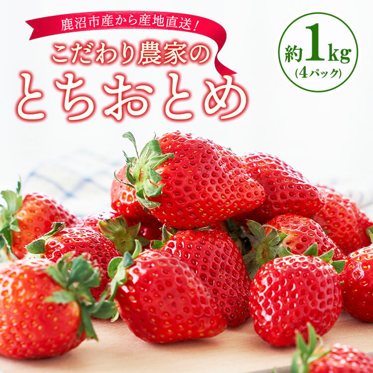 【ふるさと納税】こだわり農家のとちおとめ 1kg 4パック ※2026年1月上旬～3月下旬頃に順次発送予定 ※離島への配送不可