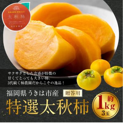 ふるさと納税 うきは市 特選太秋柿 3玉(約1kg)