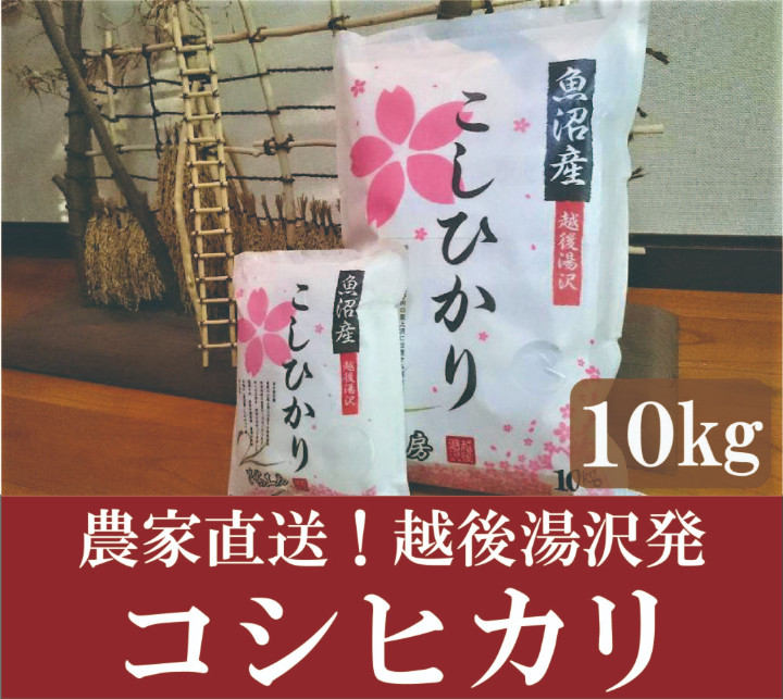 
令和6年産 農家直送！越後湯沢発 精米10㎏ さくらファームの【湯沢産コシヒカリ】
