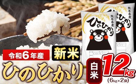 令和6年産新米 早期先行予約受付中 白米 ひのひかり 12kg《11月-12月より出荷予定》令和6年産 熊本県産  白米 精米 ひの 米 こめ コメ 米 白米 令和6年産 高レビュー 熊本県産 白米 精米 ひの 米 こめ ふるさとのうぜい ヒノヒカリ コメ お米 おこめ 