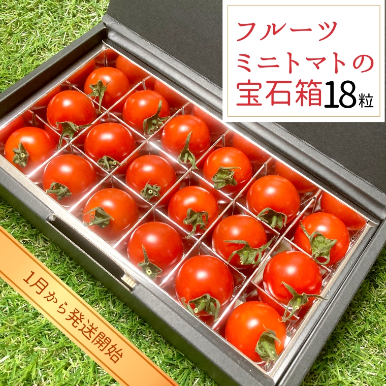 フルーツミニトマト の 宝石箱 18粒 【2025年1月から発送開始】 野菜 トマト フルーツ ミニトマト フルーツ [BI342-NT]