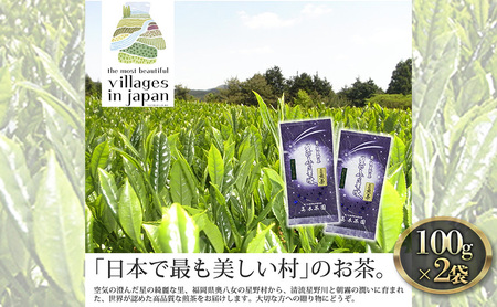 お茶 煎茶 八女茶 100g×2袋 奥八女 星野村 お茶