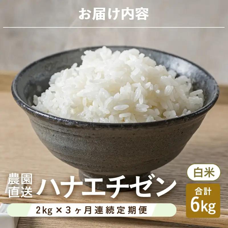 先行予約 定期便 3ヶ月連続お届け ハナエチゼン 2kg (1袋) × 3回 計6kg 白米 精米 ブランド米 2026年9月上旬以降順次発送予定 [A-8991]