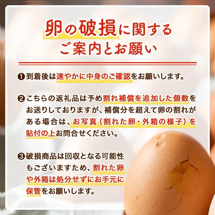 isa317 《訳あり・毎月数量限定》いちき農園のこだわり卵(計30個・15個入り×2パック) 平飼い 鶏 たまご 低コレステロール 抗生物質不使用 卵かけご飯 TKG 訳あり【いちき農園】