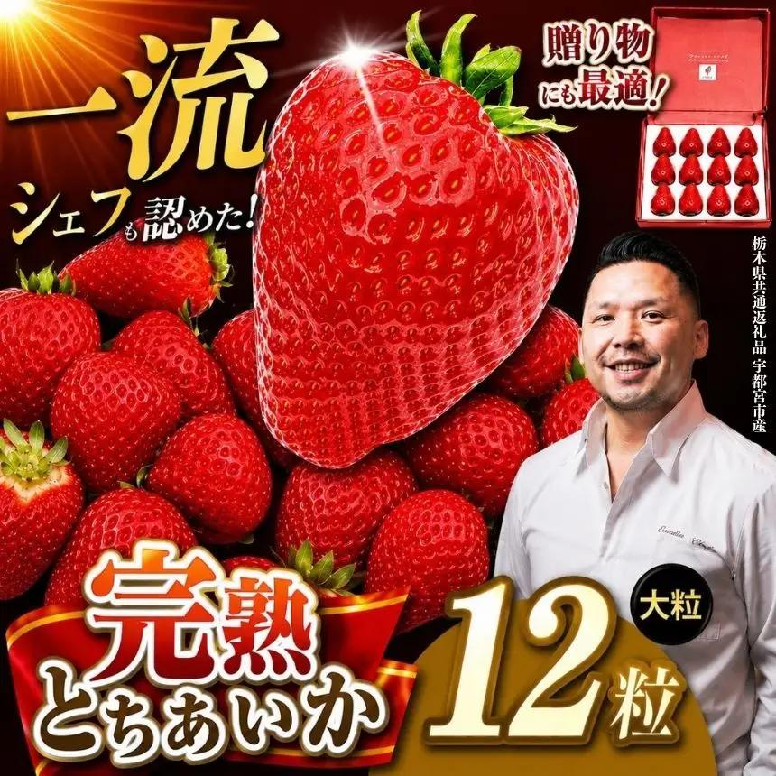 【栃木県共通返礼品】完熟とちあいか 極上大粒ギフト 1粒40g前後 贈答用12粒入