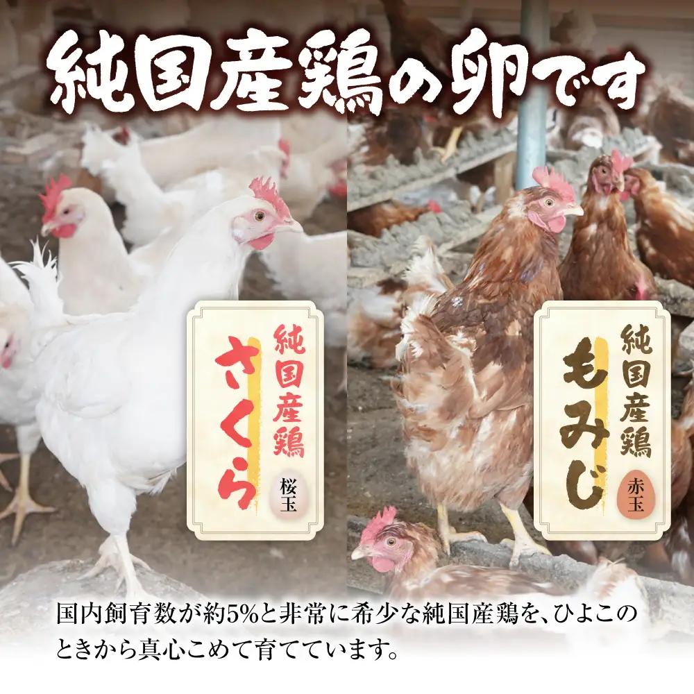 紅たまごと黄金卵 各30個セット | たまご タマゴ 平飼いたまご たまごかけご飯 玉子 生卵 卵焼 北海道 当別町