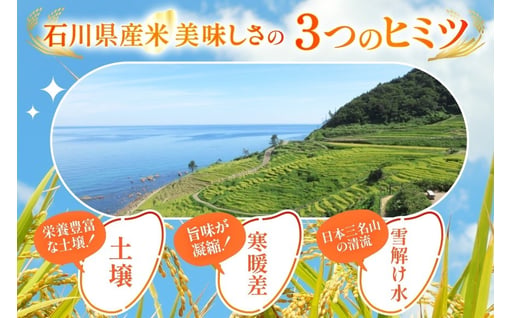 米 定期便 石川米こしひかり【穂立】10kg×12回 総計120kg 令和8年産 新米 [中橋商事 石川県 宝達志水町 38601403]コシヒカリ お米 コメ 12ヶ月 白米 精米 おこめ こめ 能