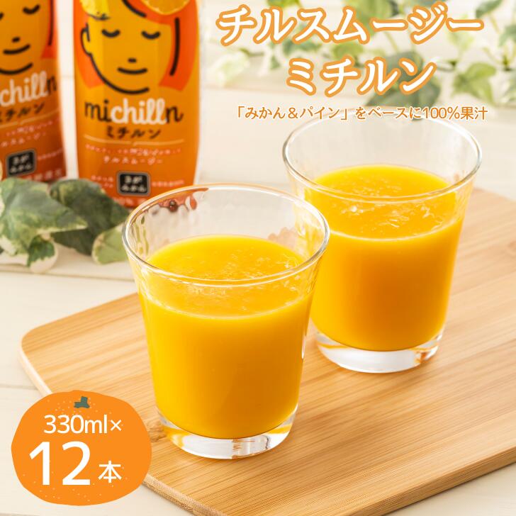 【ふるさと納税】チルスムージー ミチルン 330ml×12本：B110-050