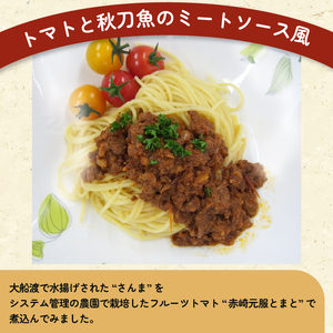トマさんソース 缶詰 ミートソース味1.2kg（300g×4缶） 【 さんま トマト 野菜  さんま缶詰 秋刀魚缶詰 おかず 魚介缶詰 おつまみ缶詰 保存食 防災 備蓄缶詰 非常食 缶詰 魚介缶詰 保