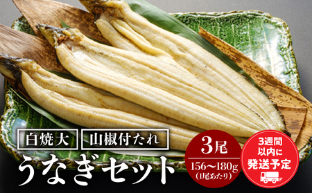 うなぎ 白焼き うなぎ[国産 3尾]