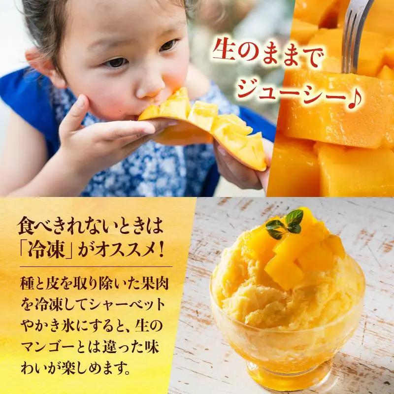 石垣島 マンゴー 約2kg