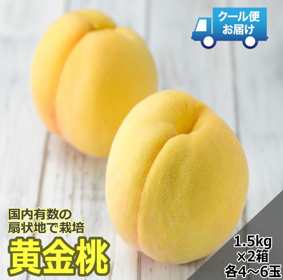 
            【令和7年発送先行予約】 クール便　収穫当日に発送　黄金桃　1.5㎏×2箱　各箱4～6玉 ALPDG003
          
