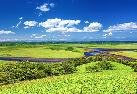 北海道釧路市（釧路エリア）ANAトラベラーズホテル割引クーポン（3,000点） F4F-1691