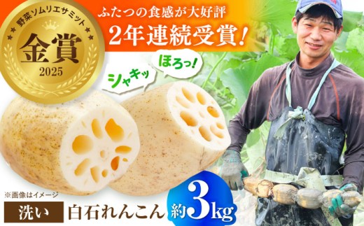 ＜野菜ソムリエサミット金賞受賞＞白石町産 絶品洗いれんこん約3kg【野中農園】2026年8月～発送 佐賀県産 農家直送 直送 白石れんこん レンコン 蓮根 根菜 野菜 2026年産 令和8産年 白石町産 高品質 九州 佐賀県 白石町  白石 [IDC003]