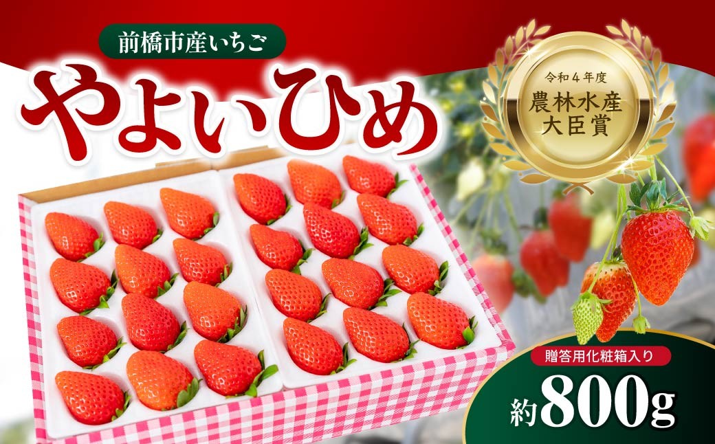 
                  いちご やよいひめ 800g 朝採れ 化粧箱 農林水産大臣賞受賞 2027年 先行予約｜非日常 贈答用 イチゴ 苺 高品質 フルーツ たっぷり 新鮮 完熟 旬 ストロベリー 高級 産地直送 果汁 甘い あまい 人気 高評価 高糖度 ごほうび プレゼント 松井ファーム 群馬県 前橋市
                
