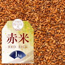 【ふるさと納税】令和6年産 米 赤米（RED RICE） 1kg | お米 こめ ご飯 ごはん 国産 お取り寄せ 人気 おすすめ 食品 宮城